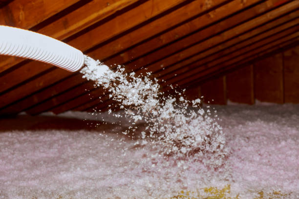 Best Blown-in Insulation in Kendale Lakes, FL