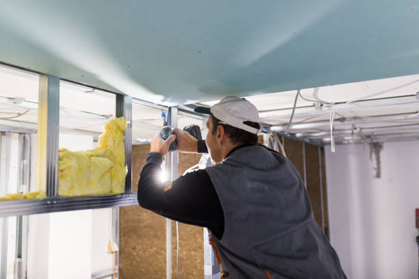 Best Eco-Friendly Insulation in Kendale Lakes, FL